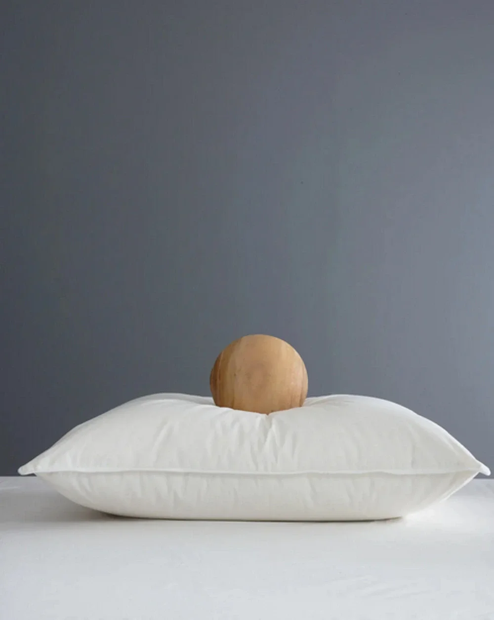 Quince Premium Down Alternative Pillow Standard Soft New